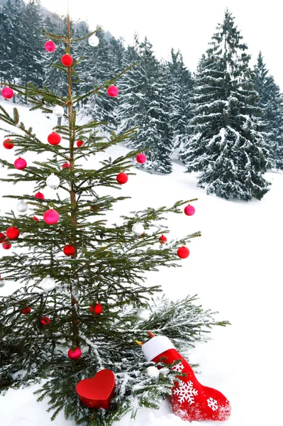 Weihnachtsbaum mit Stacheldraht — Stockfoto