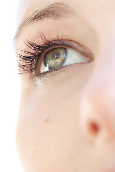 Caucasian  woman eye — Stock Photo, Image