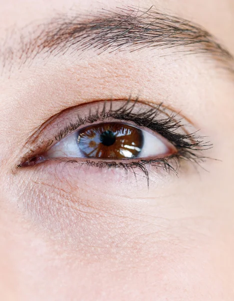 Attractive woman eye — Stock Photo, Image