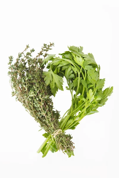 Bunch of  thyme and  parsely — Stock Photo, Image