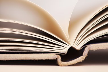 Boş sayfalar kitap