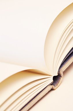 Boş sayfalar kitap