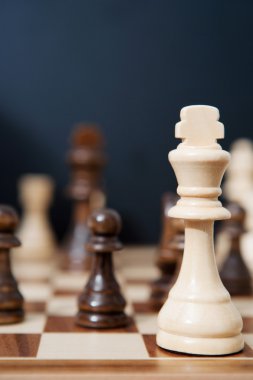 Ahşap Satranç taşını Kral