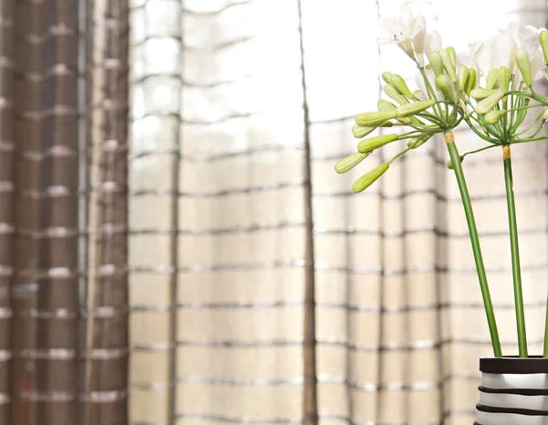 Dekorative Vase mit frischen Lilienblüten — Stockfoto