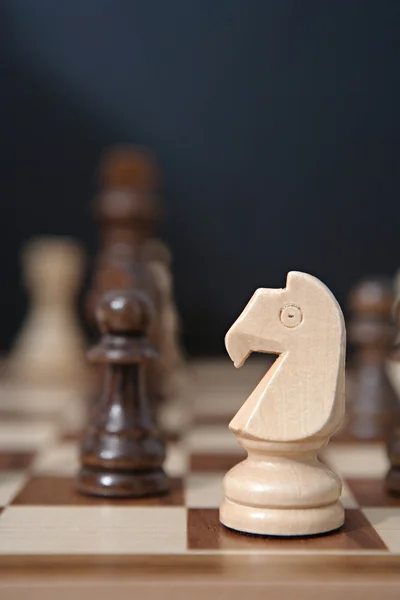 Cavaliere scacchi pezzo di legno — Foto Stock