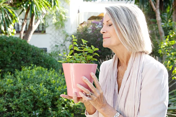 Kvinna med en kruka med en mint växt — Stockfoto