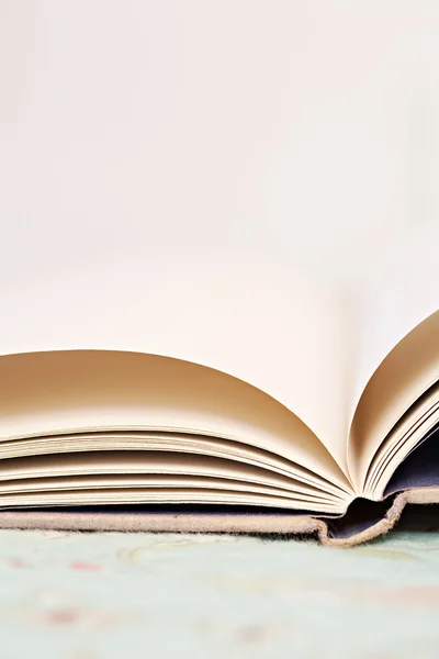 Blank pages of an open book — Stock Photo, Image