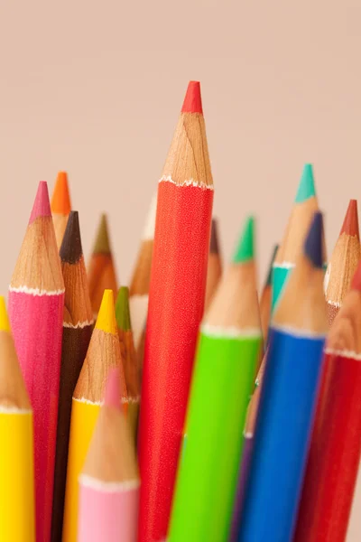 Bos van kleurrijke school kunst potloden — Stockfoto