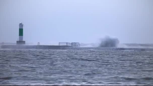 密歇根湖的风天 — 图库视频影像