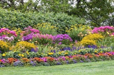 The beautiful blooming summers garden