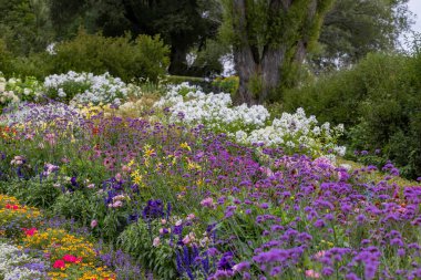 The beautiful blooming summers garden