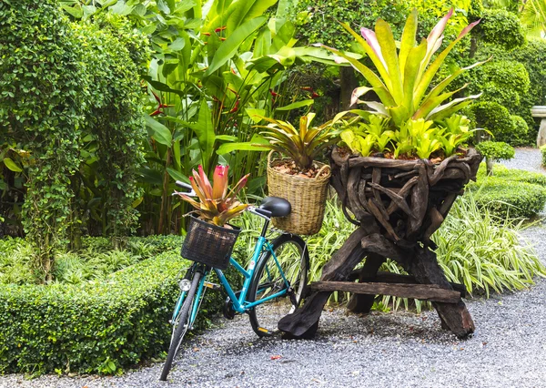 Fahrrad mit Pflanzen geschmückt — Stockfoto