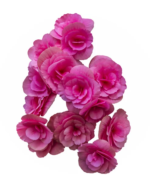 Bellissimi fiori rosa Bouquet — Foto Stock