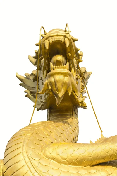 Гигантский золотой дракон на белом — стоковое фото