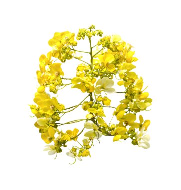 Sarı bouguet çiçek