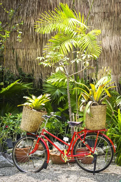 植物で飾られた赤い自転車 — ストック写真