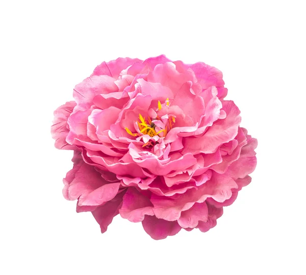Искусственный розовый цветок — стоковое фото