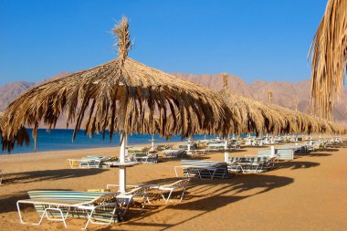 Beach palm ve kırmızılar denizde şemsiye