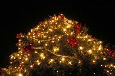 Alt görünümü gece Noel ağacı üzerinde