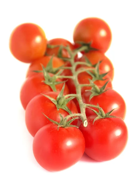 Tomate — Foto de Stock