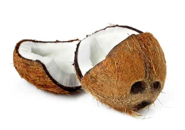 Coco isolado sobre fundo branco. — Fotografia de Stock