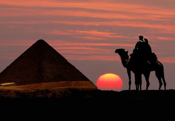 Pirámide, camello y puesta de sol — Foto de Stock