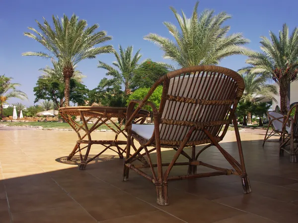Paradis jardín con palmeras y silla y mesa —  Fotos de Stock