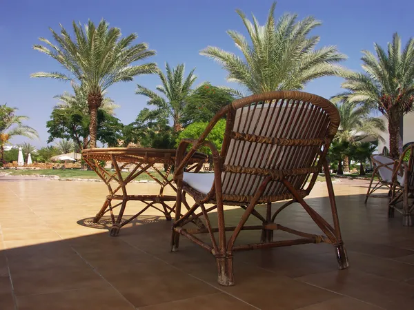 Paradis garden with palms and chair and table — Stock Photo, Image