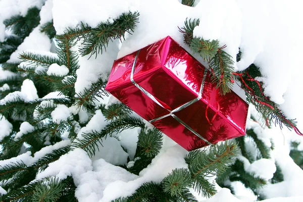 Geschenkbox am verschneiten Weihnachtsbaum — Stockfoto