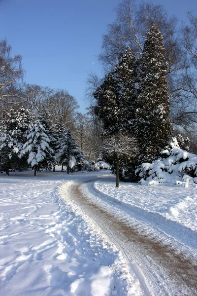 Verschneiter Stadtpark mit Weg — Stockfoto