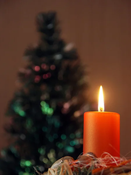 Wreath with one candle and tree — Stock Photo, Image