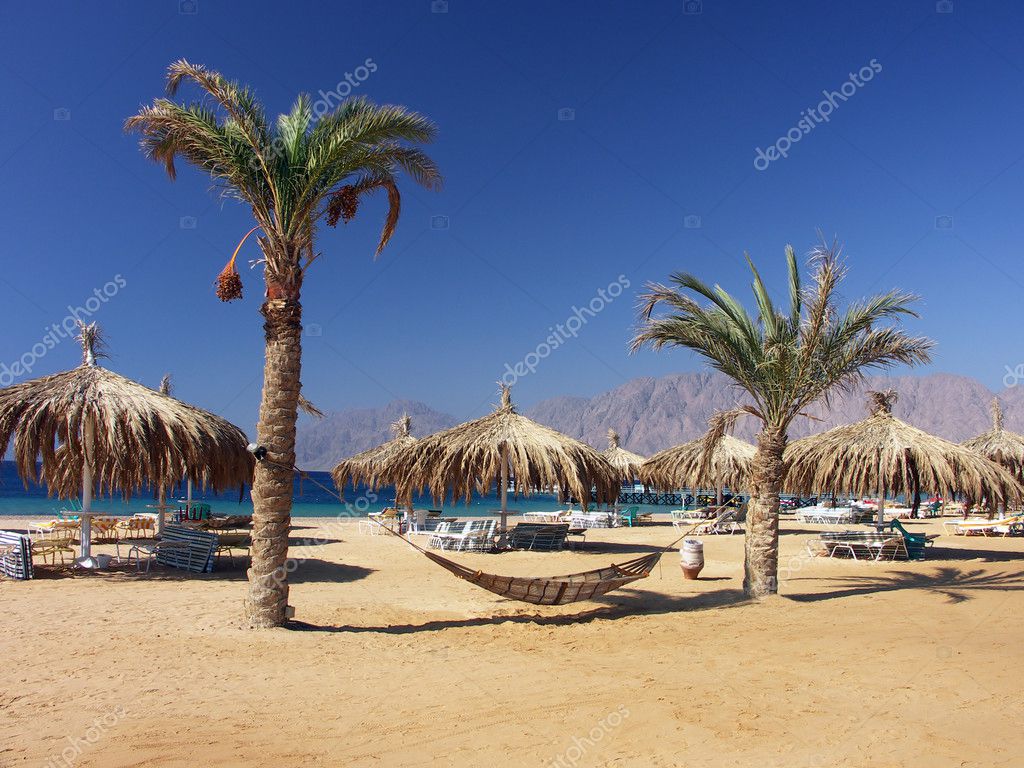 Египет Красное Море Фото Пляжей