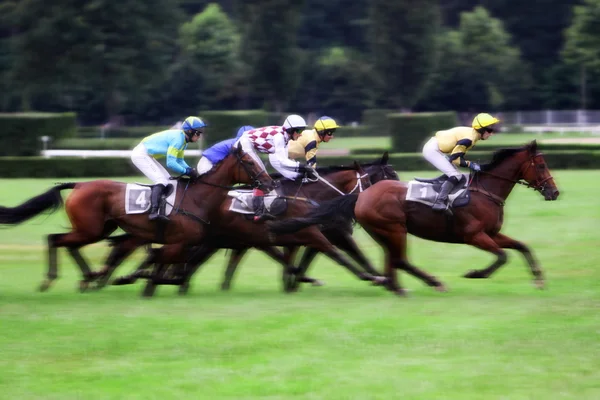 Qualification on The 119th steeplechase Velka Pardubicka — Stock Photo, Image