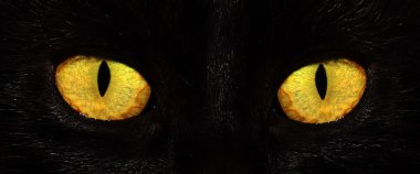 Kara kedi gözleri
