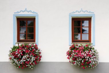 windows with flowers clipart