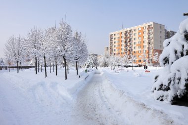 Pardubice şehir kış