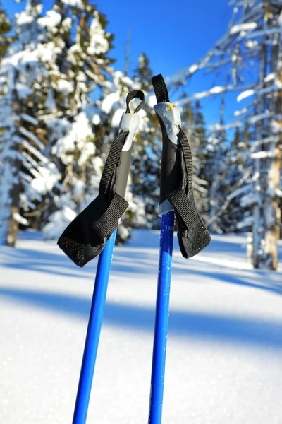 蓝色滑雪杖 — Stock fotografie