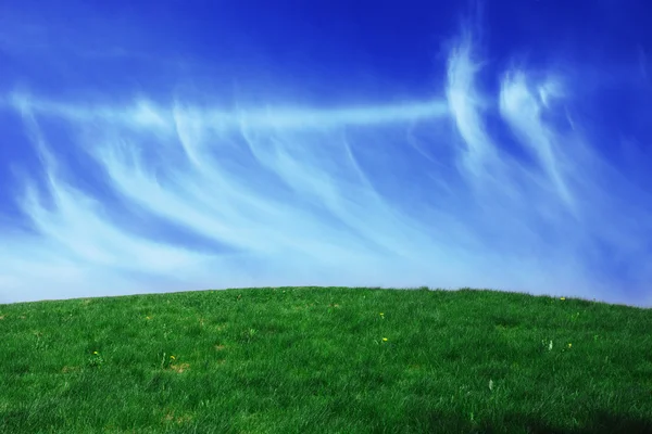 Grüne Graslandschaft — Stockfoto