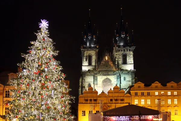 Staromestske Meydanı ile Noel ağacı
