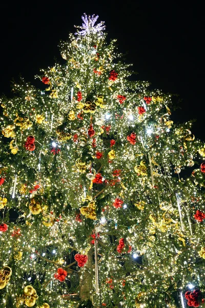 Weihnachtsbaum auf schwarzem Hintergrund — Stockfoto