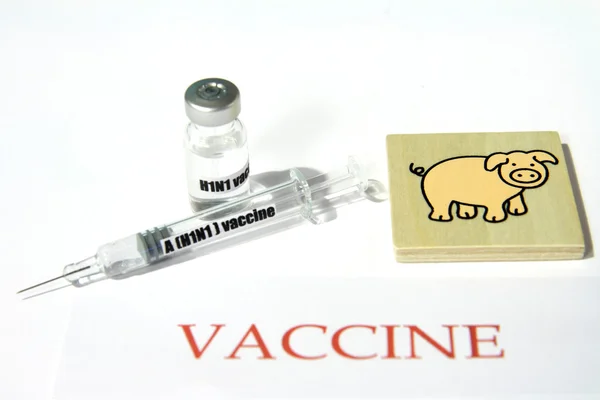 Swine FLU H1N1 disease — Stock Photo, Image