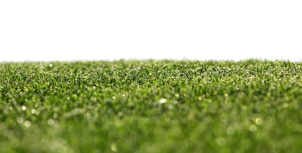 Grass on a golf course — Stock Photo, Image