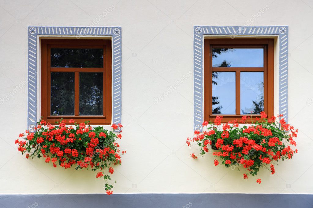 windows with flowers
