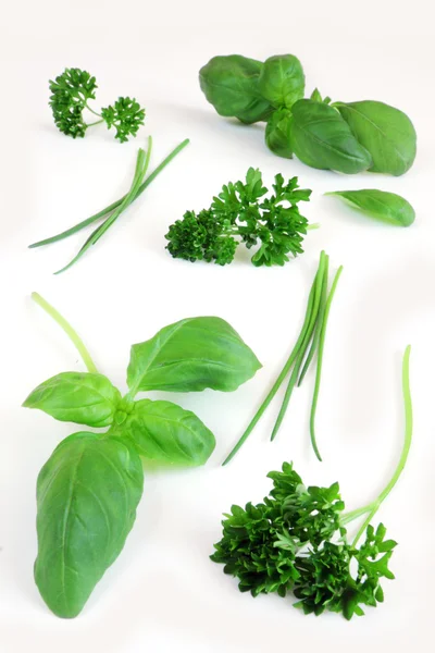 Green herbs — Stock Photo, Image