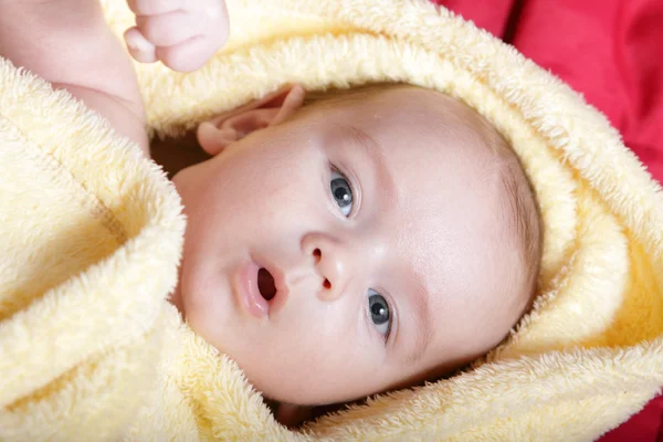 Newborn — Stock Photo, Image