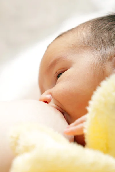 Baby breast feeding breast — Stock Photo, Image