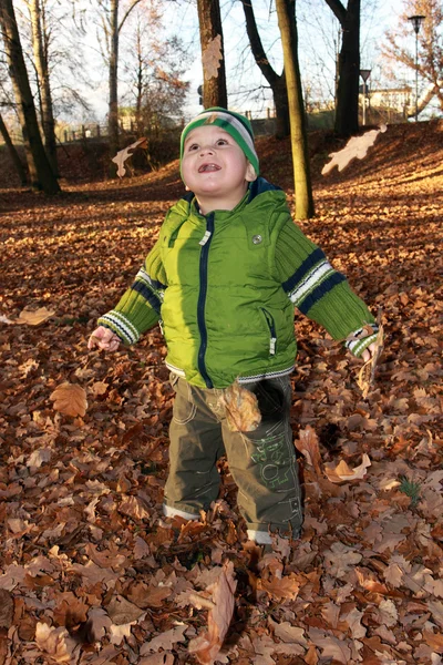 Glädje från fallande lövverk — Stockfoto