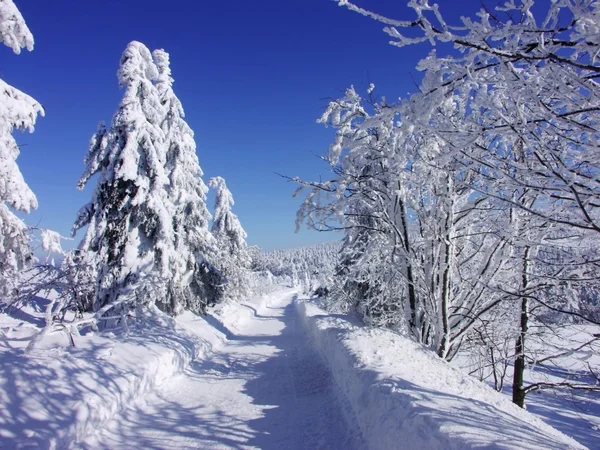 Inverno na montanha de Orlicke — Fotografia de Stock