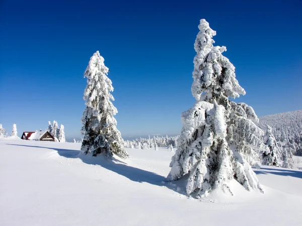 Orlickeberge — Stockfoto