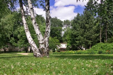 Park